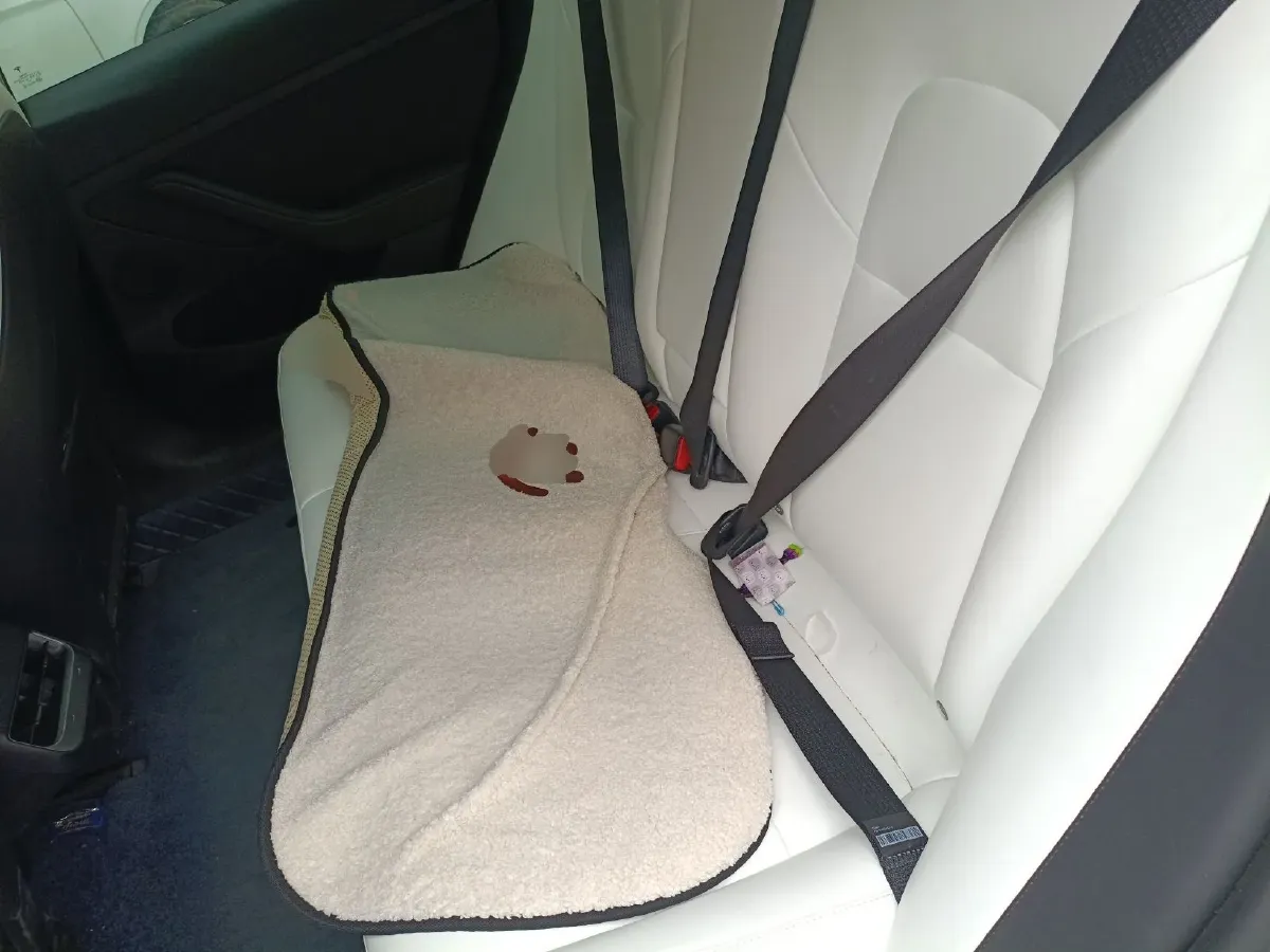 2021 Tesla Model 3 BEV 76.8KWH,autocango,china used car exporter,china ev exporter,chinese used car exporter,chinese used ev exporter