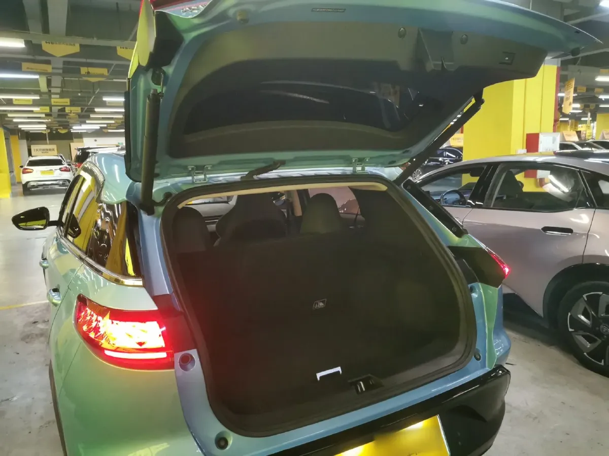 2020 Xpeng G3 BEV 66.5KWH,autocango,china used car exporter,china ev exporter,chinese used car exporter,chinese used ev exporter