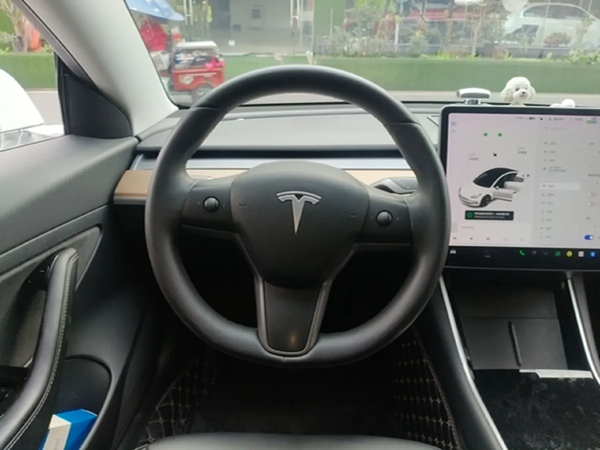 2020 Tesla Model 3 BEV 52KWH,autocango,china used car exporter,china ev exporter,chinese used car exporter,chinese used ev exporter