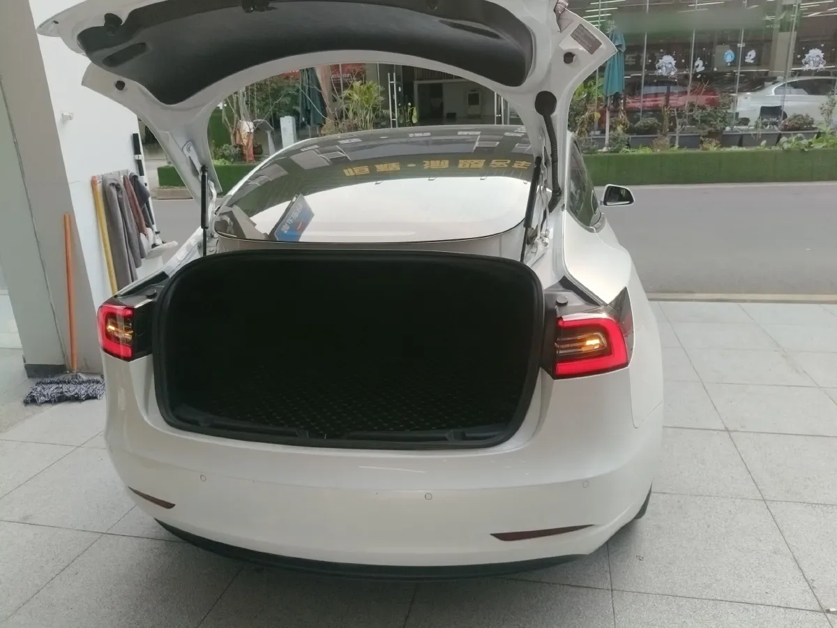2020 Tesla Model 3 BEV 52KWH,autocango,china used car exporter,china ev exporter,chinese used car exporter,chinese used ev exporter