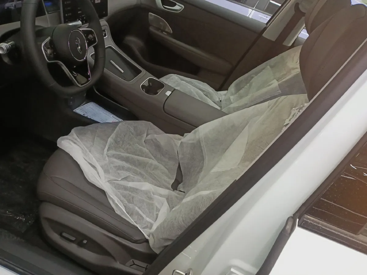 2025 HIMA Shangjie H5 BEV,autocango,china used car exporter,china ev exporter,chinese used car exporter,chinese used ev exporter