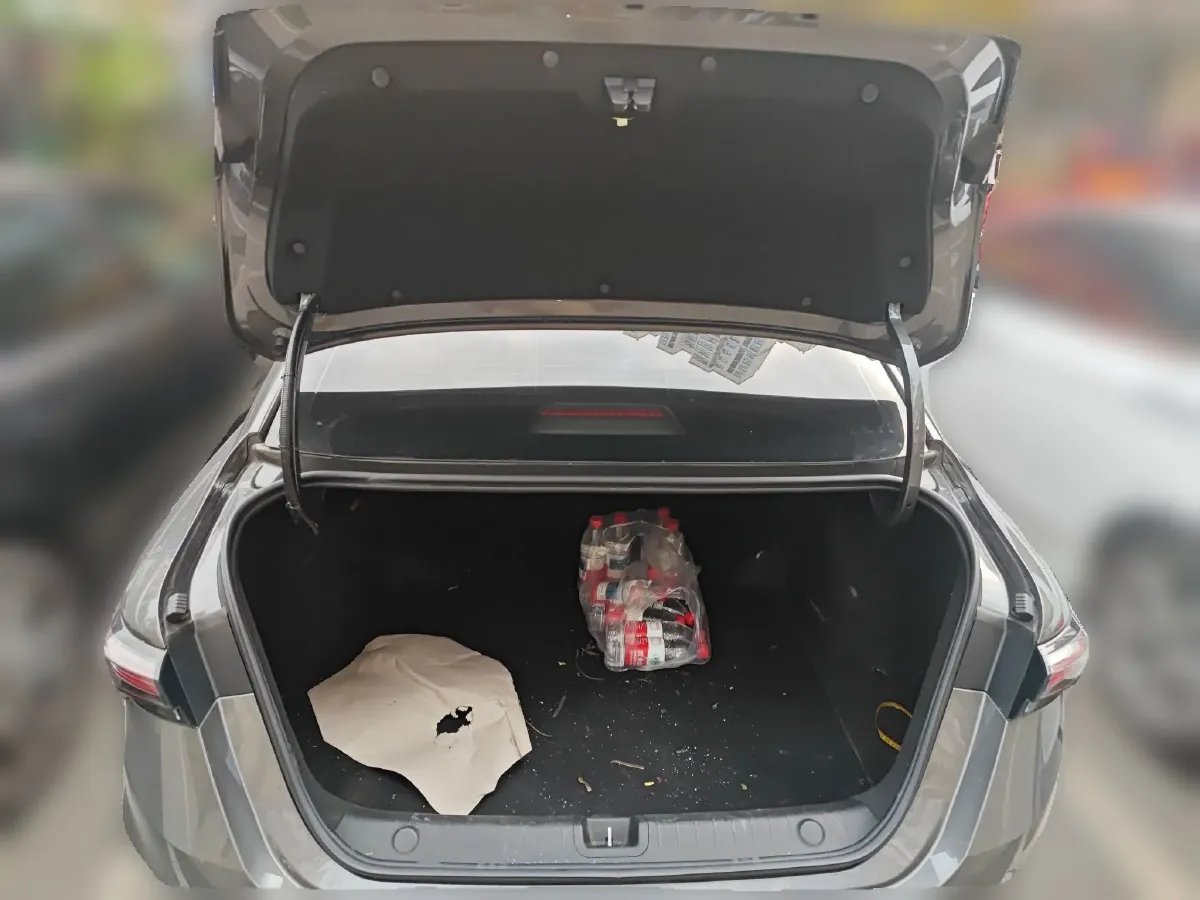 2024 Geely Binray 1.5T 181HP L4 7DCT,autocango,china used car exporter,china ev exporter,chinese used car exporter,chinese used ev exporter