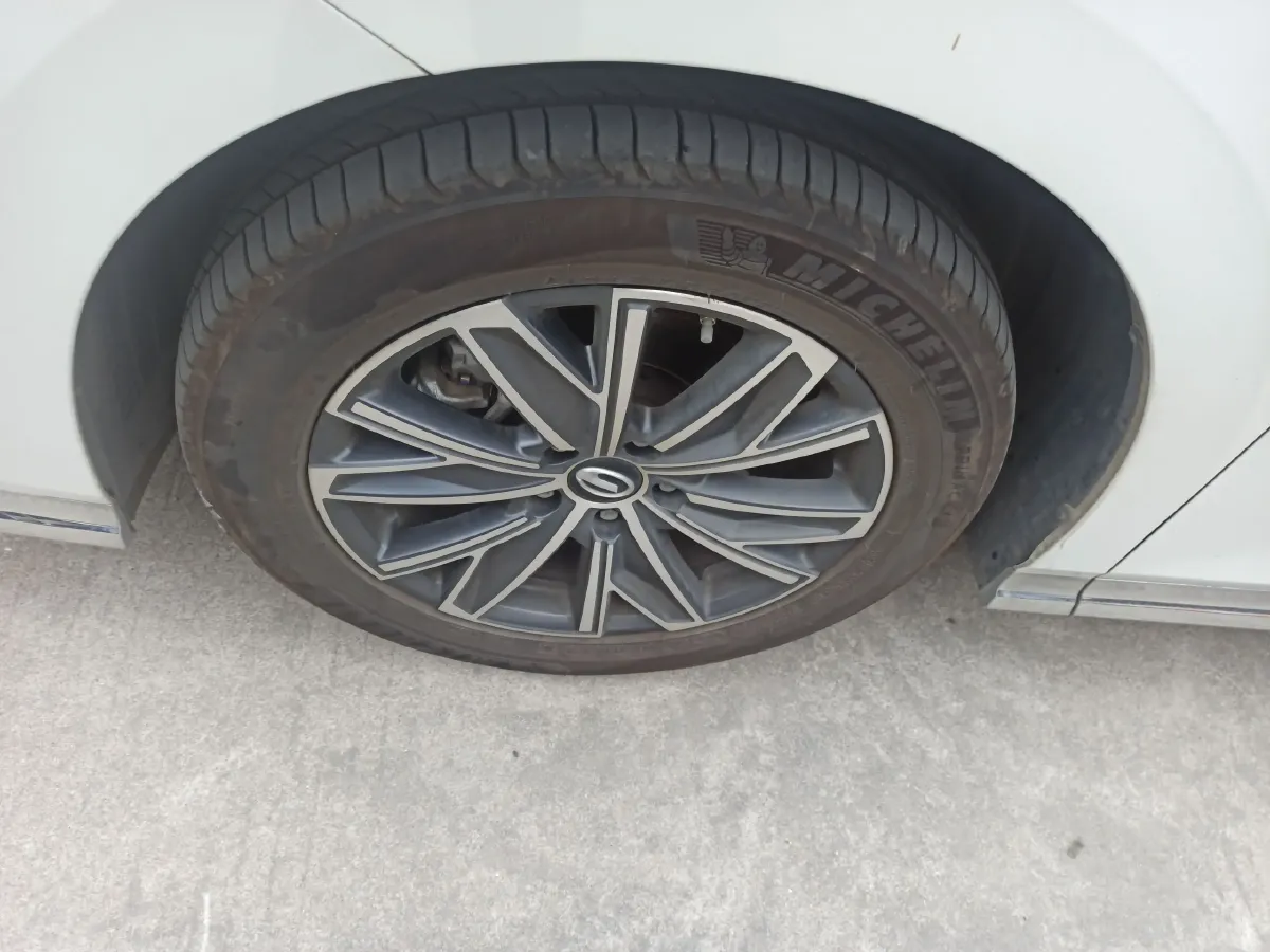 2024 GAC Trumpchi M8 2.0T 252HP L4 8AT,autocango,china used car exporter,china ev exporter,chinese used car exporter,chinese used ev exporter