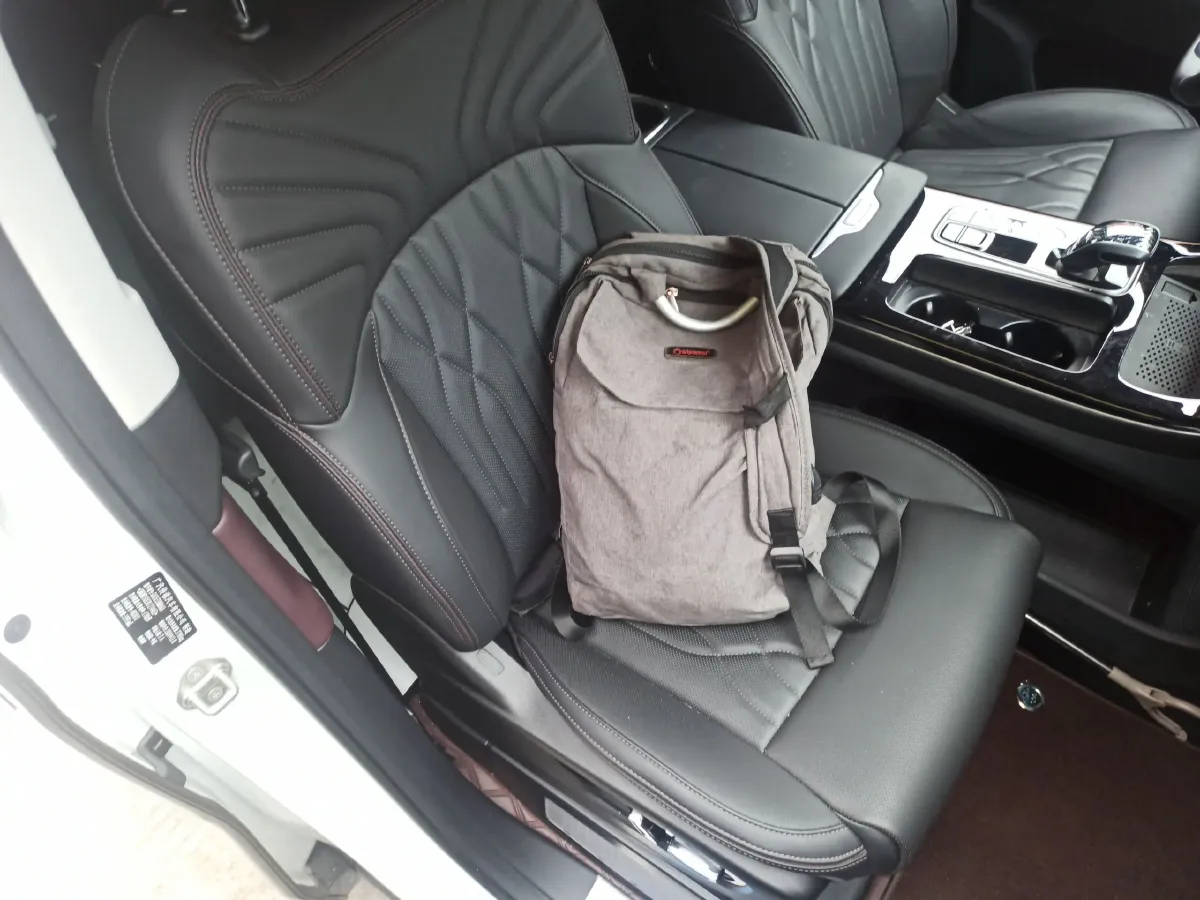 2024 GAC Trumpchi M8 2.0T 252HP L4 8AT,autocango,china used car exporter,china ev exporter,chinese used car exporter,chinese used ev exporter