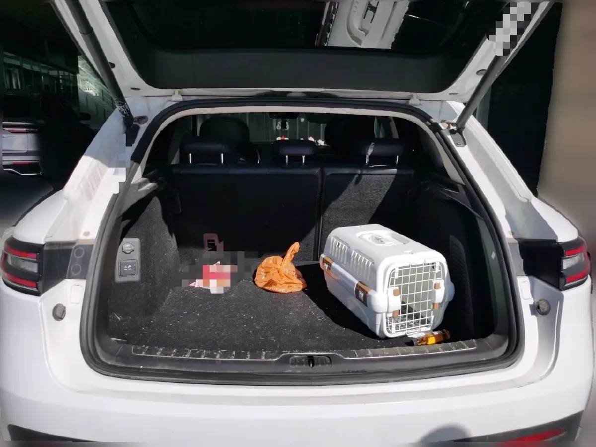 2022 AITO AITO M5 Range Extended 125HP REEV 40KWH,autocango,china used car exporter,china ev exporter,chinese used car exporter,chinese used ev exporter