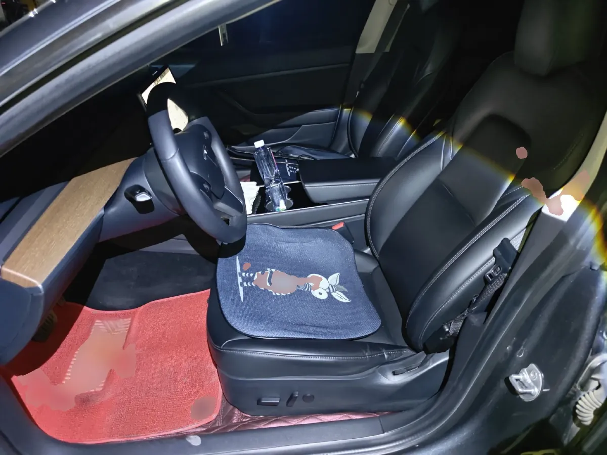 2019 Tesla Model 3 BEV 52KWH,autocango,china used car exporter,china ev exporter,chinese used car exporter,chinese used ev exporter