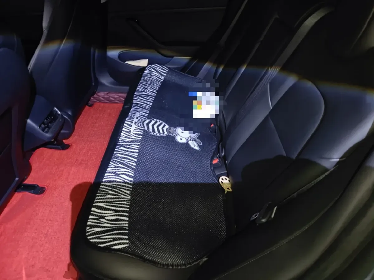 2019 Tesla Model 3 BEV 52KWH,autocango,china used car exporter,china ev exporter,chinese used car exporter,chinese used ev exporter