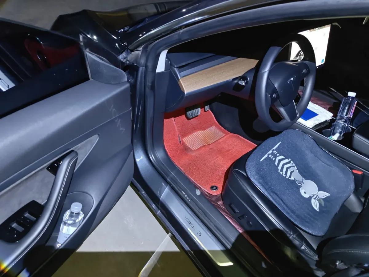 2019 Tesla Model 3 BEV 52KWH,autocango,china used car exporter,china ev exporter,chinese used car exporter,chinese used ev exporter