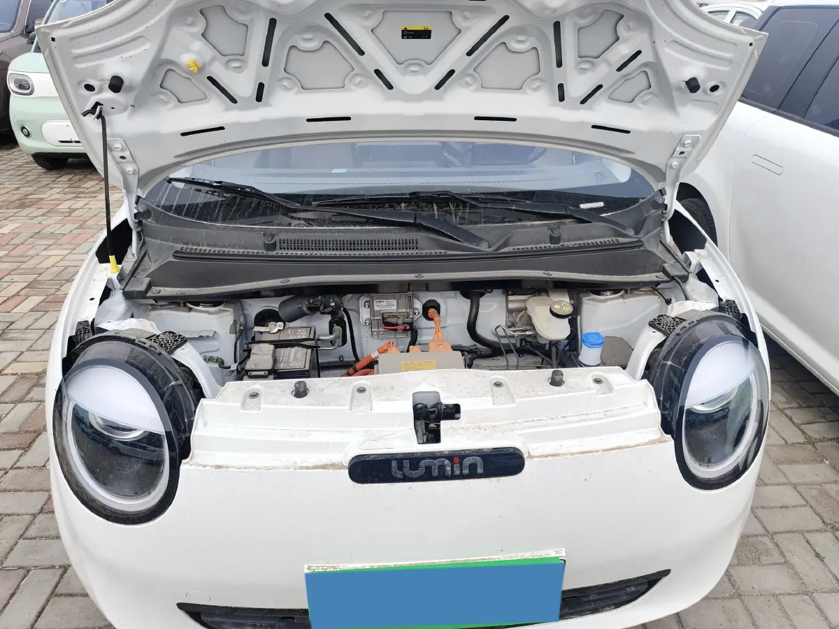 2025 ChangAn QiYuan Lumin BEV,autocango,china used car exporter,china ev exporter,chinese used car exporter,chinese used ev exporter