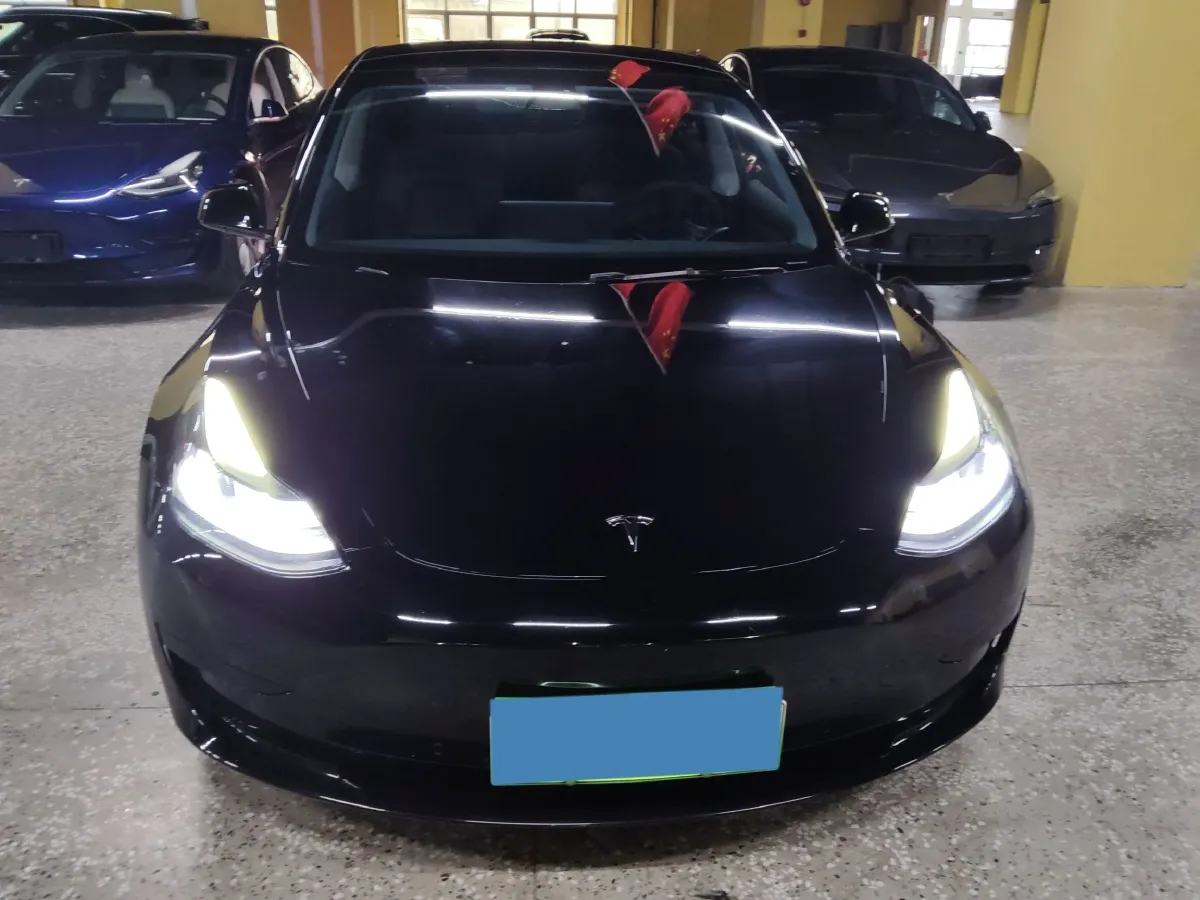 2021 Tesla Model 3 BEV 55KWH,autocango,china used car exporter,china ev exporter,chinese used car exporter,chinese used ev exporter