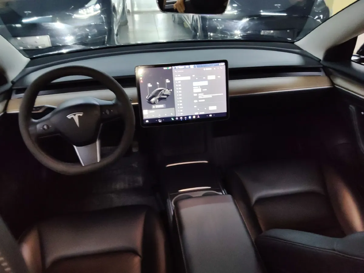 2021 Tesla Model 3 BEV 55KWH,autocango,china used car exporter,china ev exporter,chinese used car exporter,chinese used ev exporter