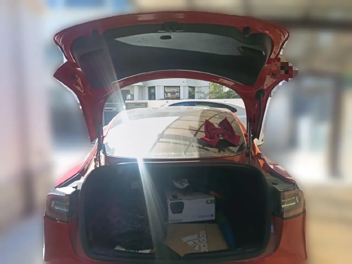 2020 Tesla Model 3 BEV 76.8KWH,autocango,china used car exporter,china ev exporter,chinese used car exporter,chinese used ev exporter