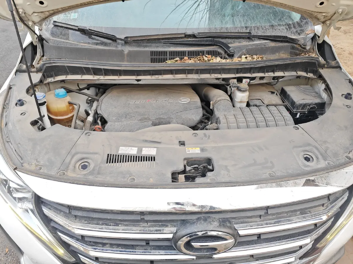 2021 GAC Trumpchi M8 2.0T 252HP L4 8AT,autocango,china used car exporter,china ev exporter,chinese used car exporter,chinese used ev exporter