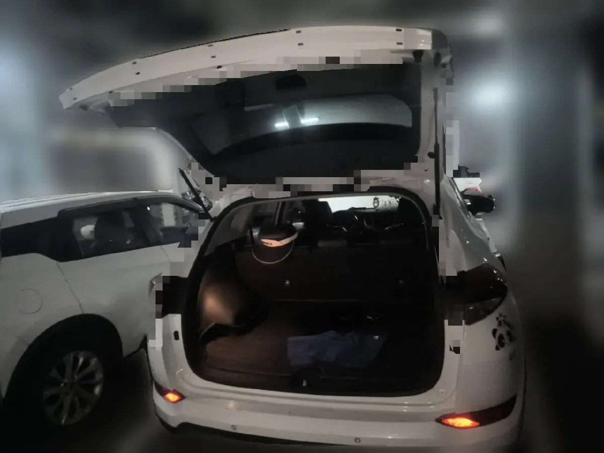 2018 HongQi H5 1.8T 186HP L4 6AT,autocango,china used car exporter,china ev exporter,chinese used car exporter,chinese used ev exporter