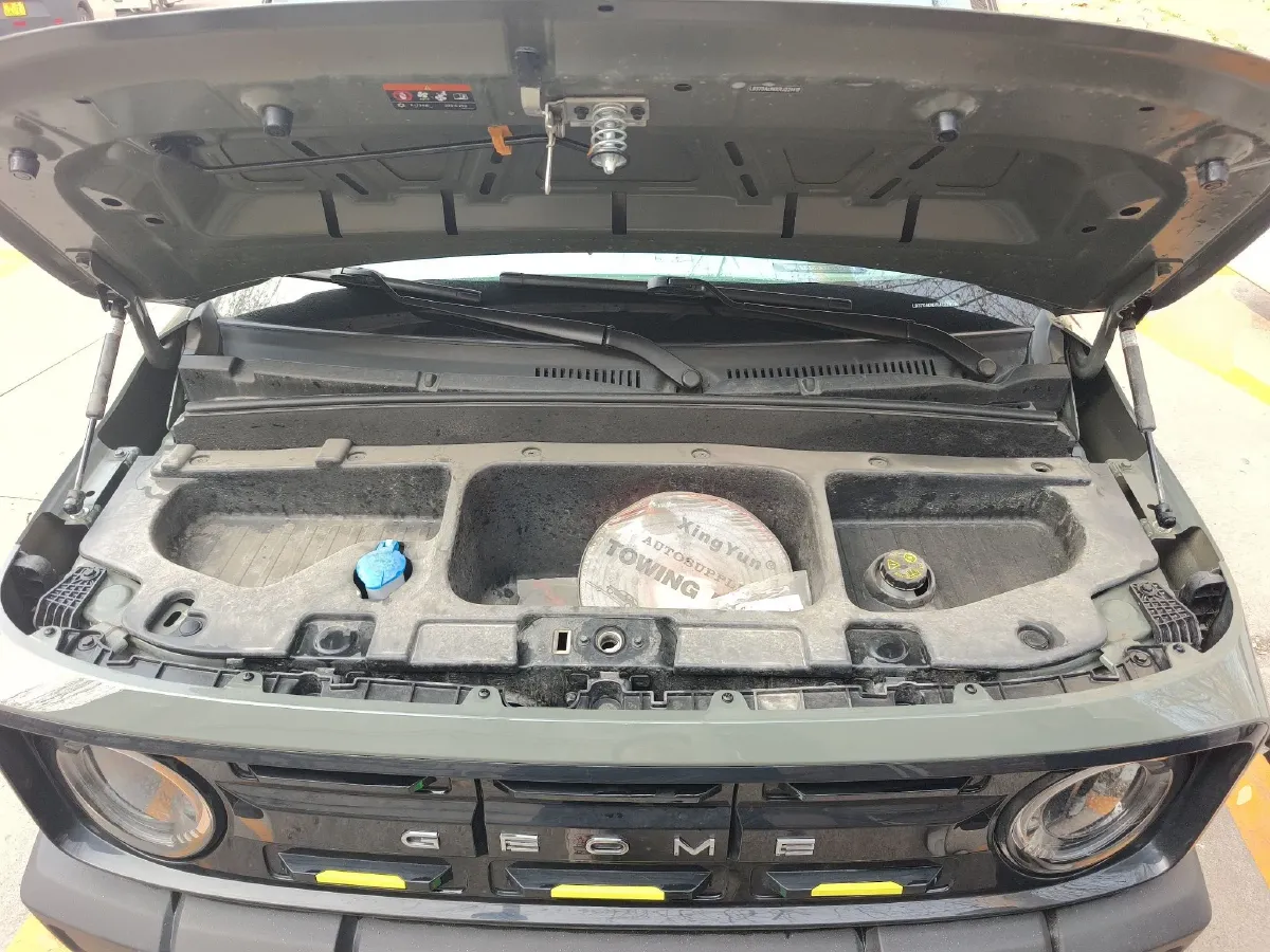 2025 Geely Galaxy Panda BEV 17.03KWH,autocango,china used car exporter,china ev exporter,chinese used car exporter,chinese used ev exporter