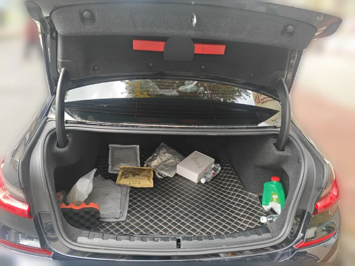 2021 BMW 3 Series 2.0T 184HP L4 8AT,autocango,china used car exporter,china ev exporter,chinese used car exporter,chinese used ev exporter