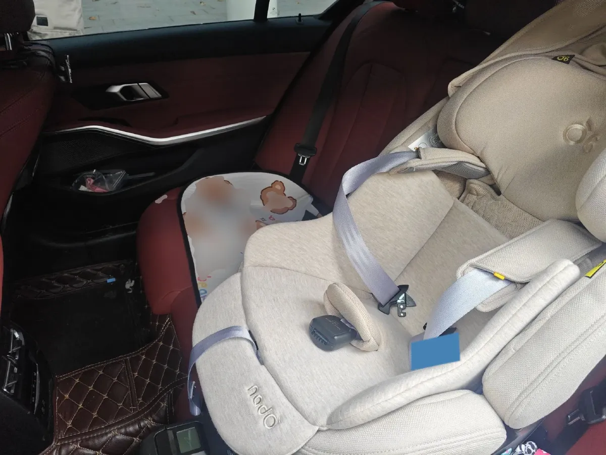 2021 BMW 3 Series 2.0T 184HP L4 8AT,autocango,china used car exporter,china ev exporter,chinese used car exporter,chinese used ev exporter