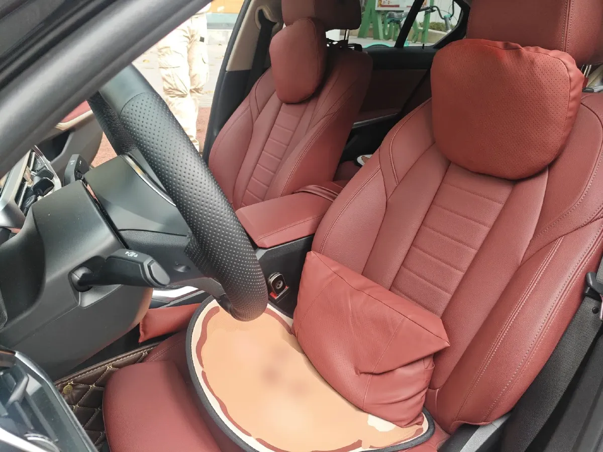 2021 BMW 3 Series 2.0T 184HP L4 8AT,autocango,china used car exporter,china ev exporter,chinese used car exporter,chinese used ev exporter