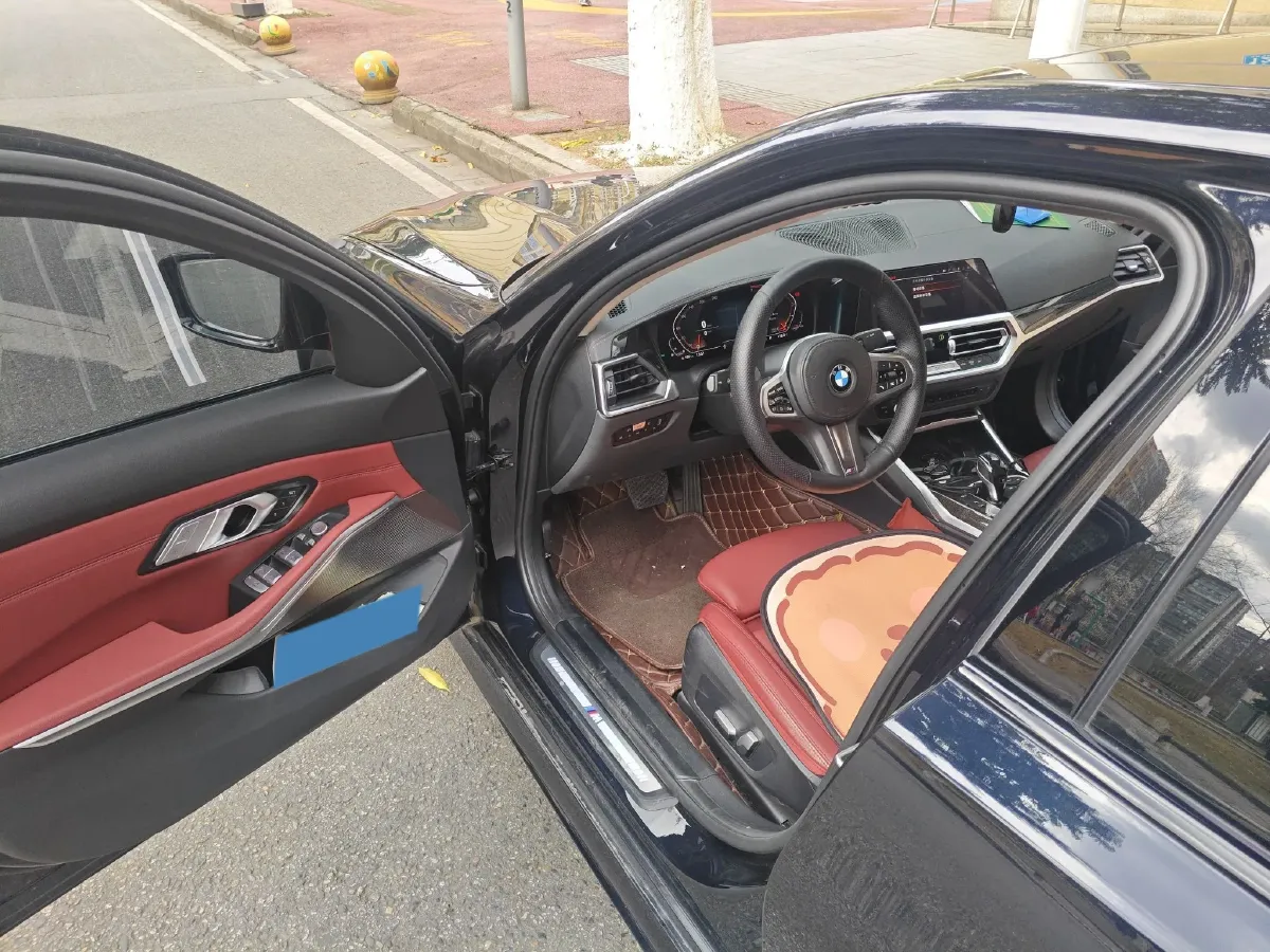 2021 BMW 3 Series 2.0T 184HP L4 8AT,autocango,china used car exporter,china ev exporter,chinese used car exporter,chinese used ev exporter