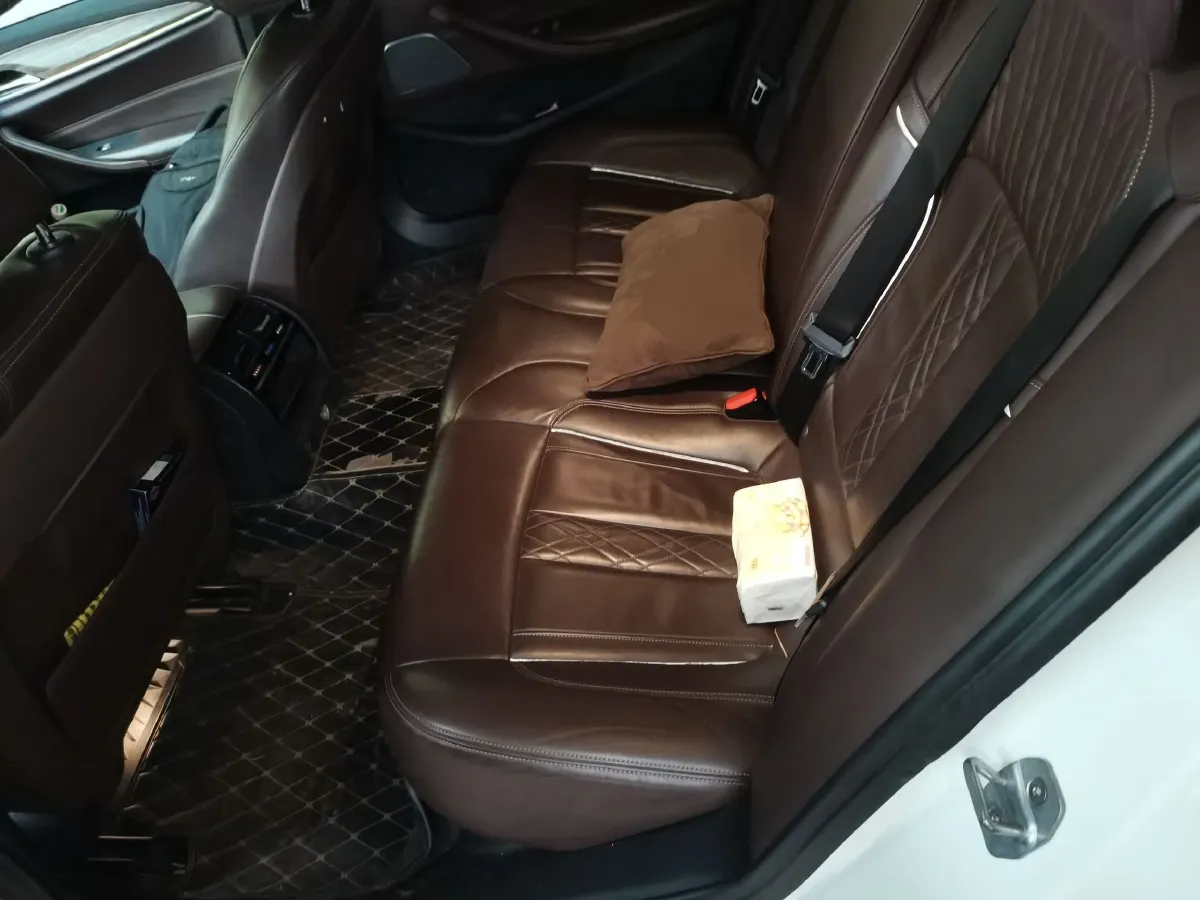 2019 BMW 5 Series 2.0T 252HP L4 8AT,autocango,china used car exporter,china ev exporter,chinese used car exporter,chinese used ev exporter