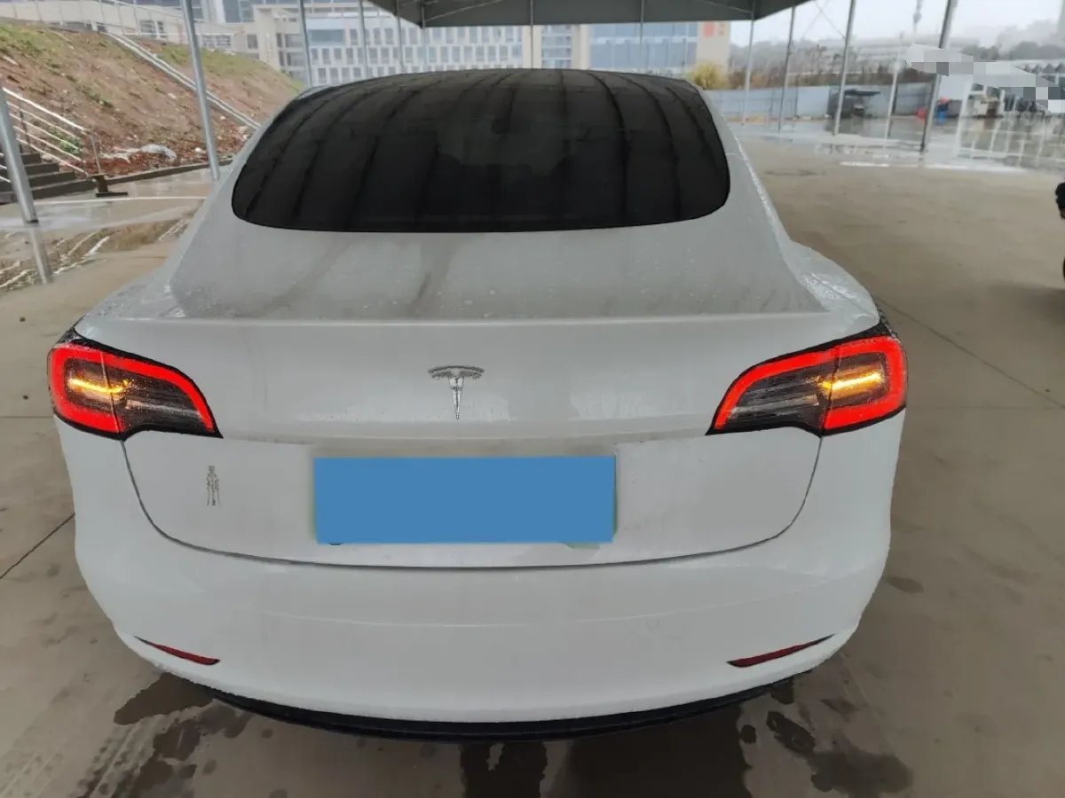 2021 Tesla Model 3 BEV 55KWH,autocango,china used car exporter,china ev exporter,chinese used car exporter,chinese used ev exporter