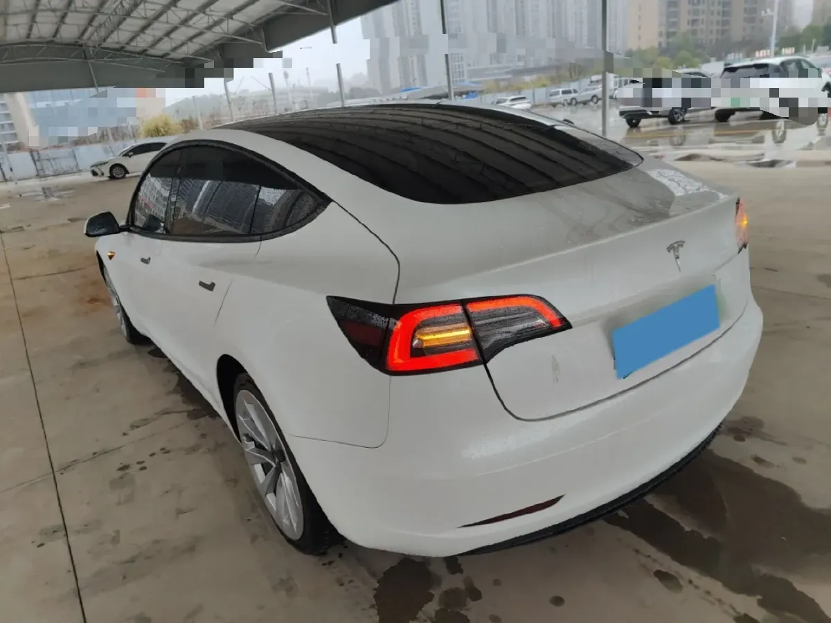 2021 Tesla Model 3 BEV 55KWH,autocango,china used car exporter,china ev exporter,chinese used car exporter,chinese used ev exporter