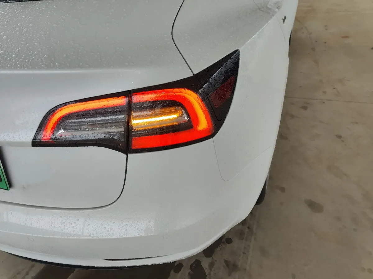 2021 Tesla Model 3 BEV 55KWH,autocango,china used car exporter,china ev exporter,chinese used car exporter,chinese used ev exporter