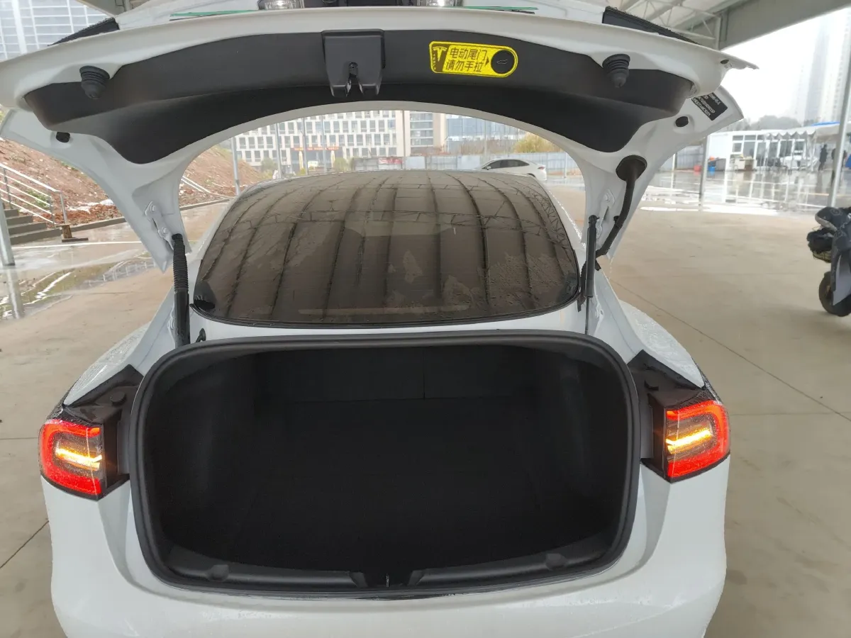 2021 Tesla Model 3 BEV 55KWH,autocango,china used car exporter,china ev exporter,chinese used car exporter,chinese used ev exporter