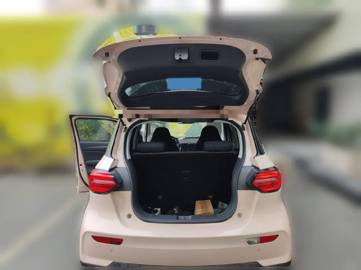 2021 Leapmotor T03 BEV 41KWH,autocango,china used car exporter,china ev exporter,chinese used car exporter,chinese used ev exporter