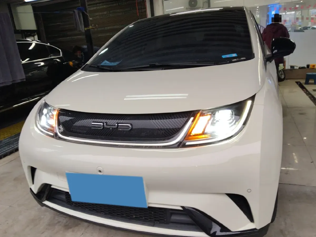 2023 BYD Dolphin BEV 44.928KWH,autocango,china used car exporter,china ev exporter,chinese used car exporter,chinese used ev exporter