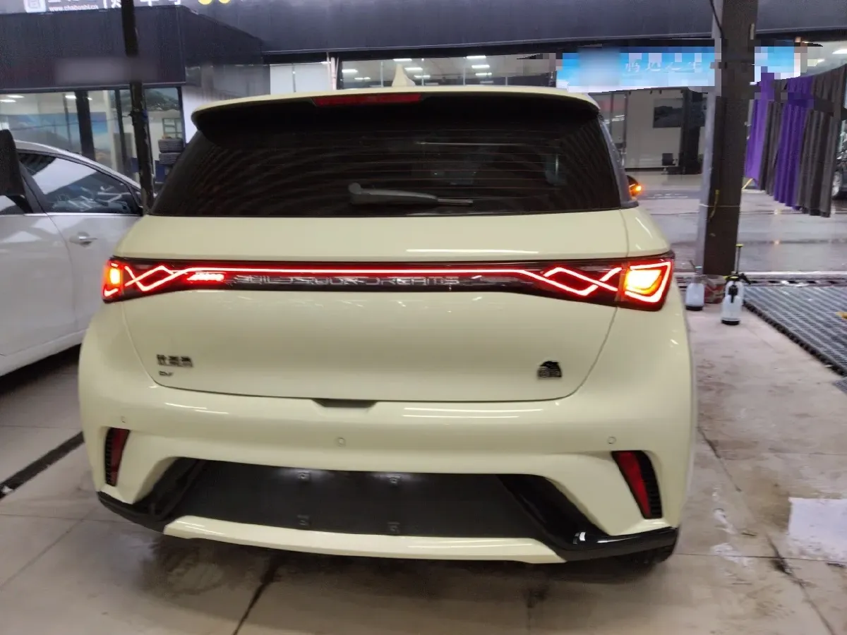 2023 BYD Dolphin BEV 44.928KWH,autocango,china used car exporter,china ev exporter,chinese used car exporter,chinese used ev exporter