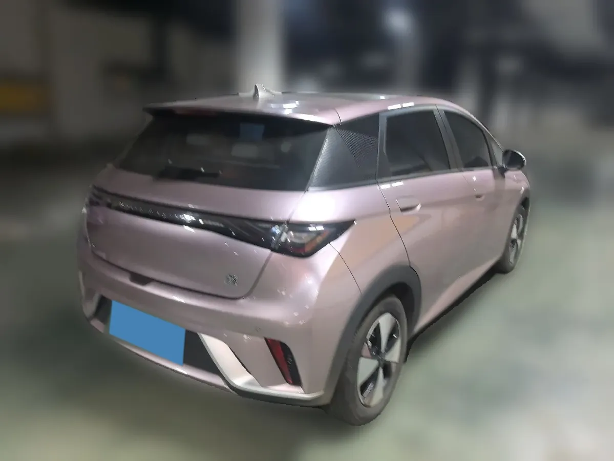 2023 BYD Dolphin BEV 44.928KWH,autocango,china used car exporter,china ev exporter,chinese used car exporter,chinese used ev exporter