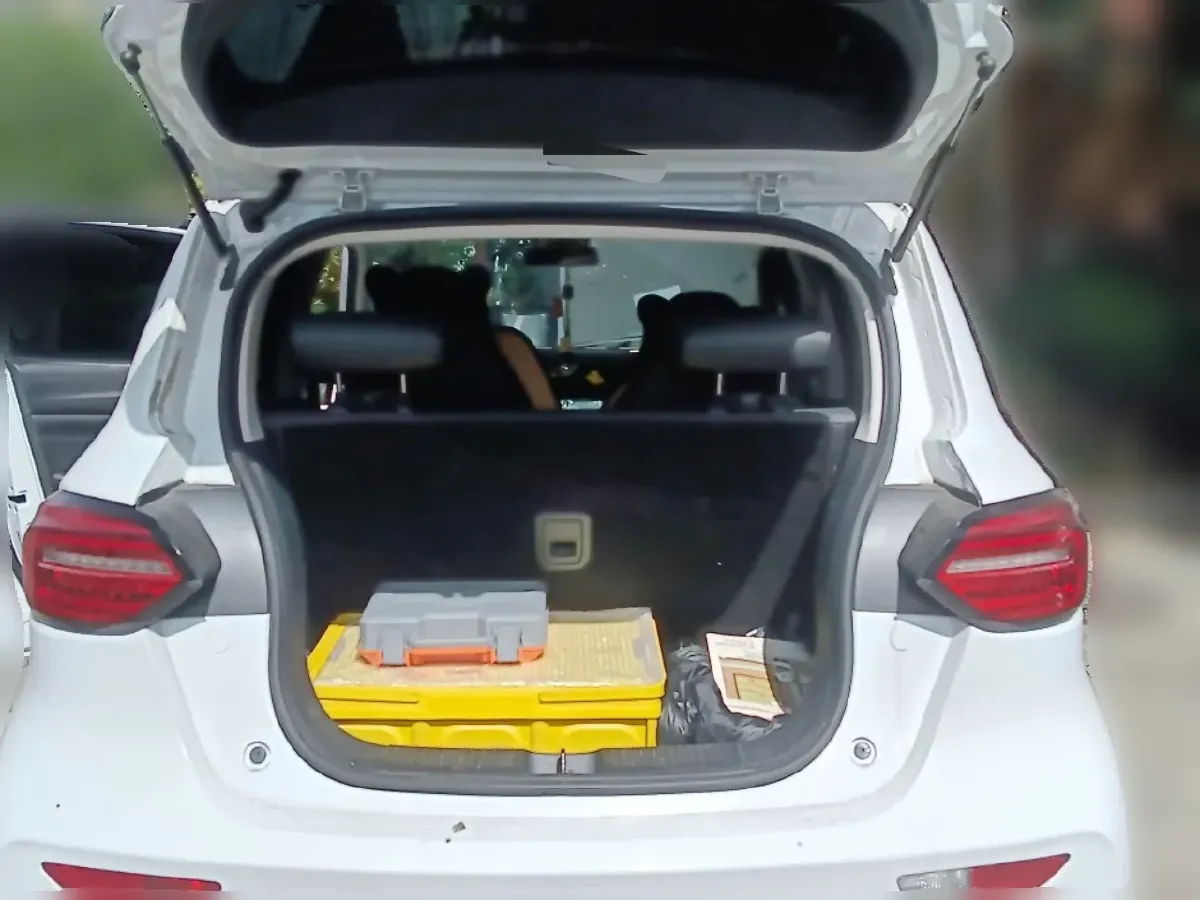 2020 Leapmotor T03 BEV 38KWH,autocango,china used car exporter,china ev exporter,chinese used car exporter,chinese used ev exporter