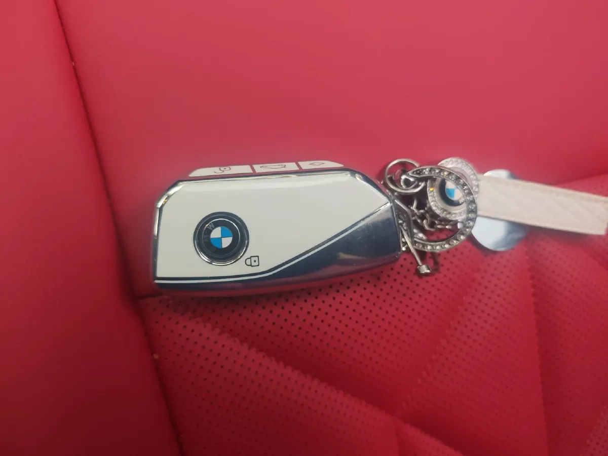 2025 BMW X3 2.0T 190HP L4 8AT,autocango,china used car exporter,china ev exporter,chinese used car exporter,chinese used ev exporter