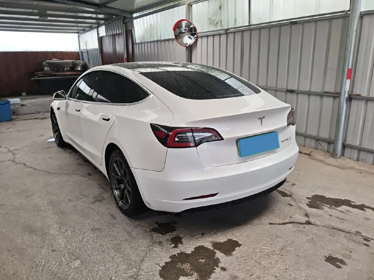 2019 Tesla Model 3 BEV 52KWH,autocango,china used car exporter,china ev exporter,chinese used car exporter,chinese used ev exporter