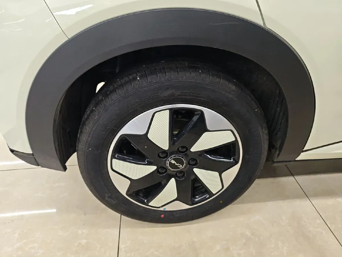 2025 BYD Dolphin BEV 44.928KWH,autocango,china used car exporter,china ev exporter,chinese used car exporter,chinese used ev exporter