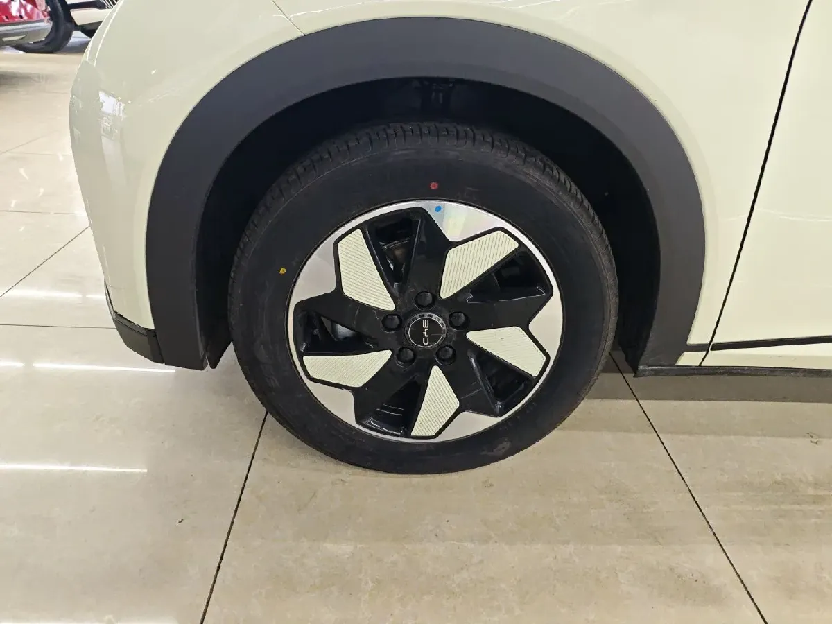 2025 BYD Dolphin BEV 44.928KWH,autocango,china used car exporter,china ev exporter,chinese used car exporter,chinese used ev exporter