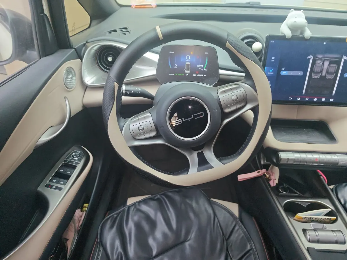 2023 BYD Dolphin BEV 44.928KWH,autocango,china used car exporter,china ev exporter,chinese used car exporter,chinese used ev exporter