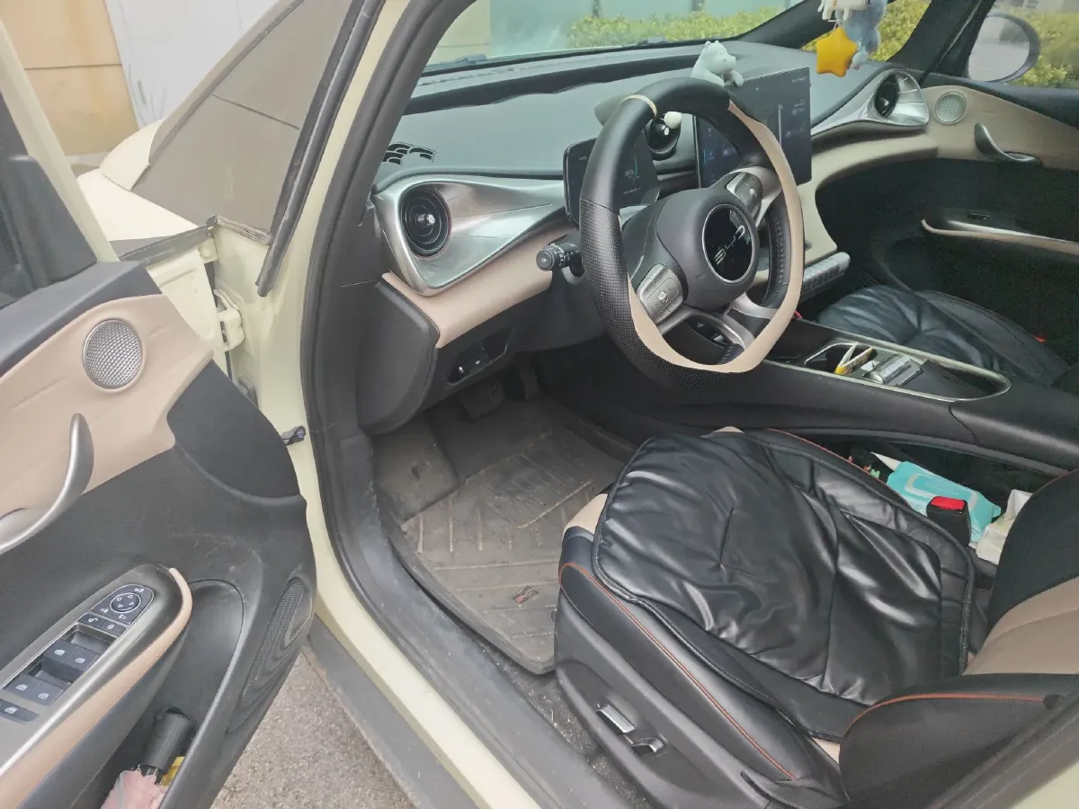 2023 BYD Dolphin BEV 44.928KWH,autocango,china used car exporter,china ev exporter,chinese used car exporter,chinese used ev exporter