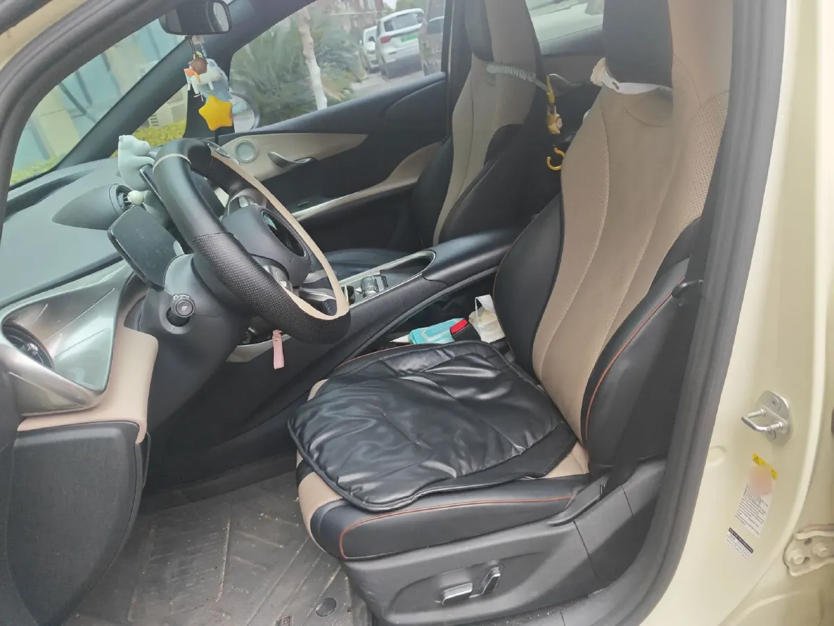 2023 BYD Dolphin BEV 44.928KWH,autocango,china used car exporter,china ev exporter,chinese used car exporter,chinese used ev exporter