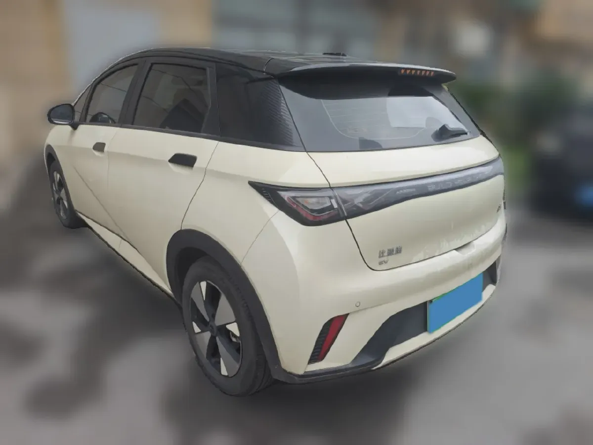 2023 BYD Dolphin BEV 44.928KWH,autocango,china used car exporter,china ev exporter,chinese used car exporter,chinese used ev exporter