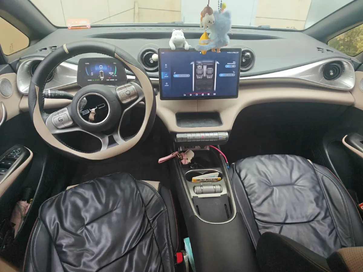 2023 BYD Dolphin BEV 44.928KWH,autocango,china used car exporter,china ev exporter,chinese used car exporter,chinese used ev exporter