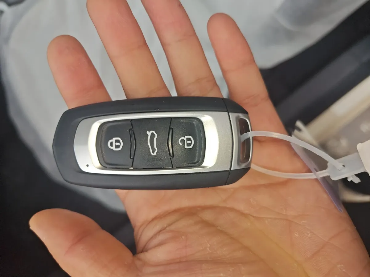 2025 Geely Galaxy Panda BEV,autocango,china used car exporter,china ev exporter,chinese used car exporter,chinese used ev exporter