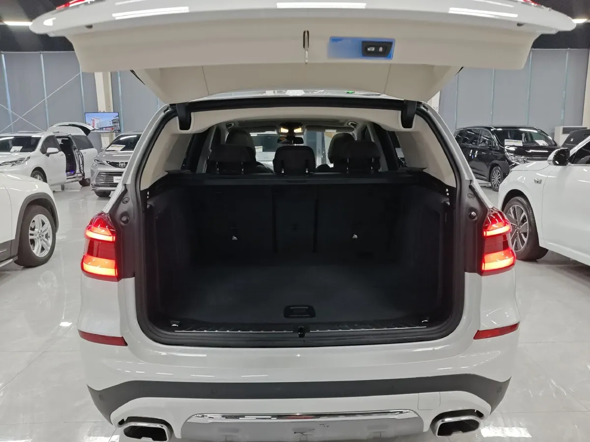 2020 BMW X3 2.0T 224HP L4 8AT,autocango,china used car exporter,china ev exporter,chinese used car exporter,chinese used ev exporter