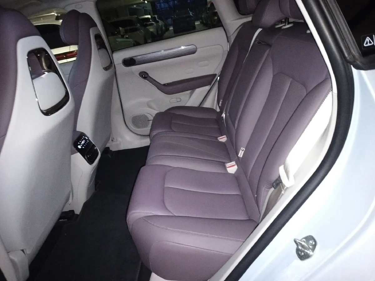 2023 Leapmotor C11 BEV 69.2KWH,autocango,china used car exporter,china ev exporter,chinese used car exporter,chinese used ev exporter