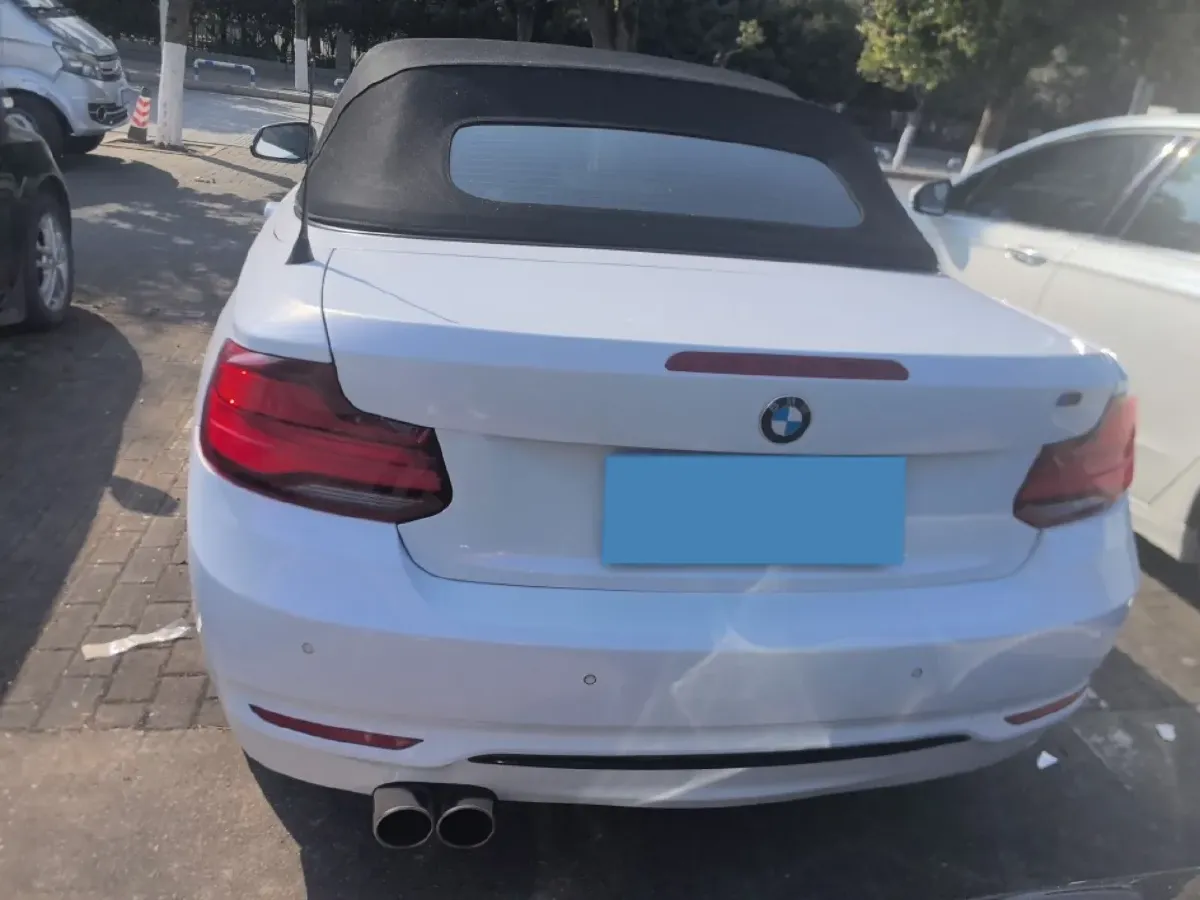 2019 BMW 2 Series 2.0T 184HP L4 8AT,autocango,china used car exporter,china ev exporter,chinese used car exporter,chinese used ev exporter