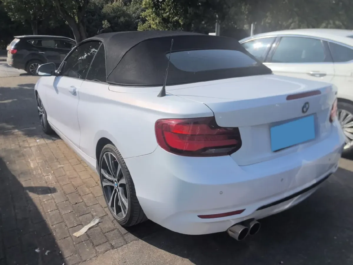 2019 BMW 2 Series 2.0T 184HP L4 8AT,autocango,china used car exporter,china ev exporter,chinese used car exporter,chinese used ev exporter