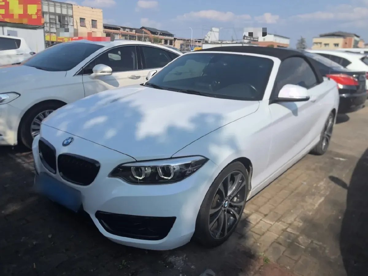 2019 BMW 2 Series 2.0T 184HP L4 8AT,autocango,china used car exporter,china ev exporter,chinese used car exporter,chinese used ev exporter