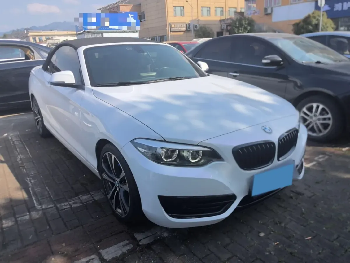 2019 BMW 2 Series 2.0T 184HP L4 8AT,autocango,china used car exporter,china ev exporter,chinese used car exporter,chinese used ev exporter