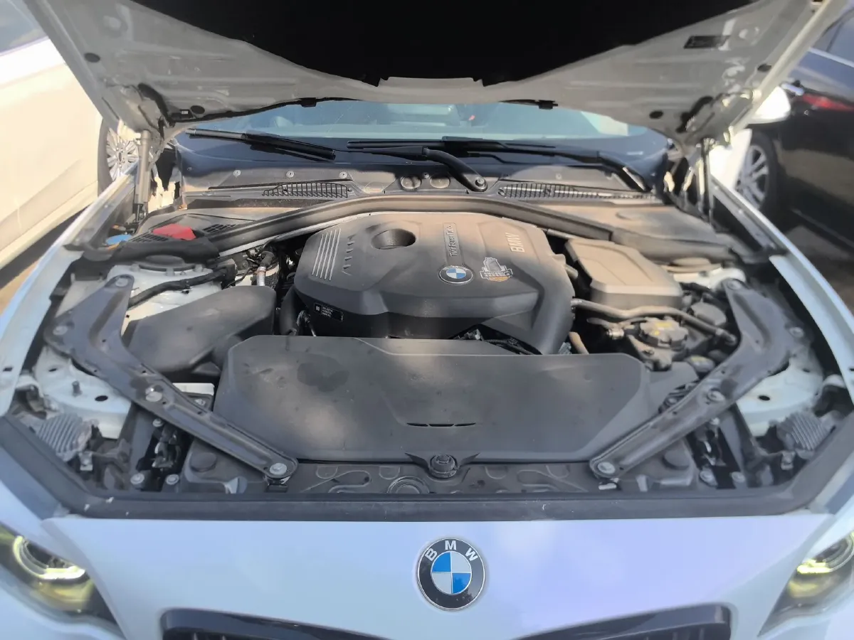 2019 BMW 2 Series 2.0T 184HP L4 8AT,autocango,china used car exporter,china ev exporter,chinese used car exporter,chinese used ev exporter